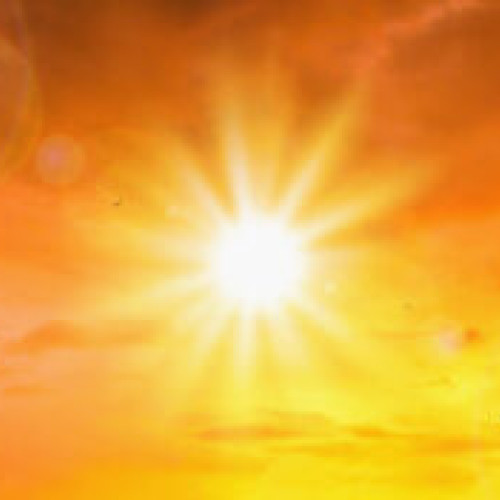 Autoritățile anunță măsuri pentru protecția animalelor pe timp de caniculă