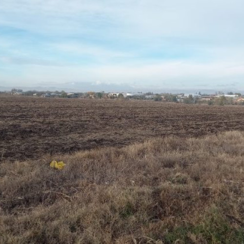 Termenul de depunere a cererilor de plată pentru Campania 2024 prelungit până pe 12 iunie