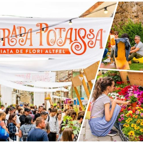 Piața de flori "altfel" pe Strada Potaissa