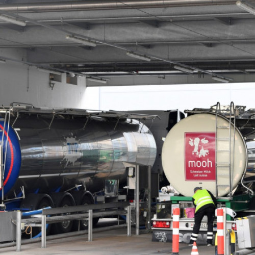 Companiile chineze vor investigarea importurilor de lactate din UE