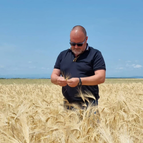 Semne bune pentru culturile fermierilor din Dâmbovița