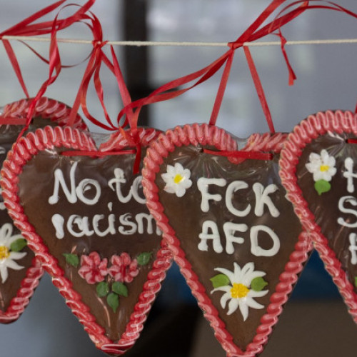 Politicieni ai AfD Atacați în Karlsruhe și Dresda