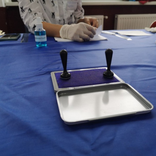 Aproape 30.000 de cetățeni din Harghita au votat până acum