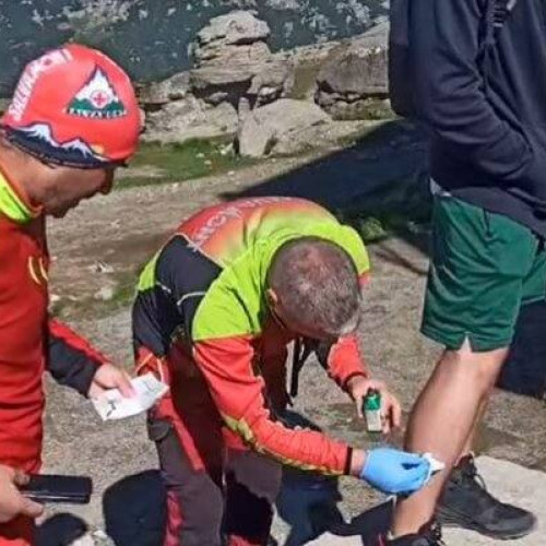 Turist muscat de vulpe in zona Babele din Bucegi