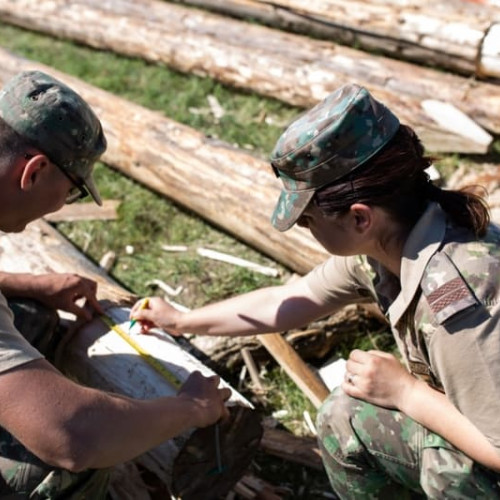 Admiterea în școlile militare de maiștri militari și subofițeri