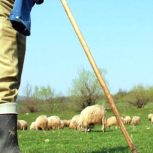 Bătaie la crâșma din Rișculița: Un sătean internat la spital