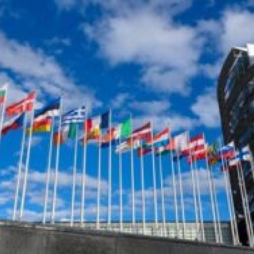 PSD-PNL a obținut 54% din voturi la alegerile europarlamentare 2024