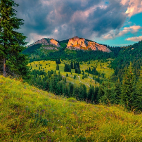 Alegerile locale ar putea fi reluate în Poşaga