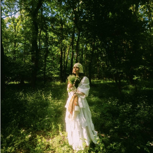 Mii de oameni au dansat pe ritmurile Irinei Rimes la Palatul Mogosoaia