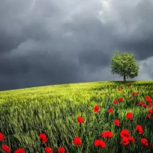 Avertizare meteo: Cod galben de furtuni în Dâmbovița