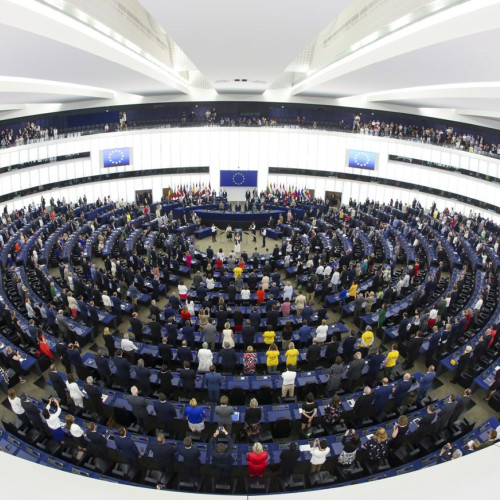 George Simion și Diana Șoșoacă obțin mandate în Parlamentul European