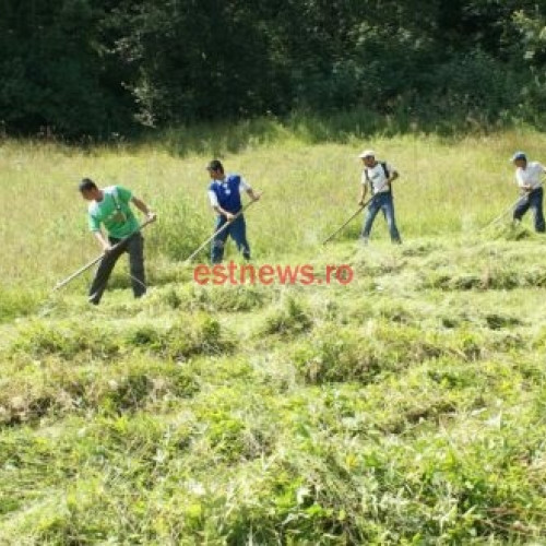 ITM Vaslui a depistat nereguli la 52 de angajatori în mai 2024