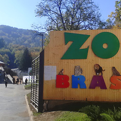 Grădina Zoologică Brașov organizează "Ziua Internațională a Râsului"