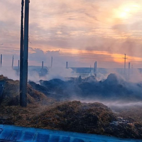 Incendiu la o hală din Sascut lichidat după patru ore