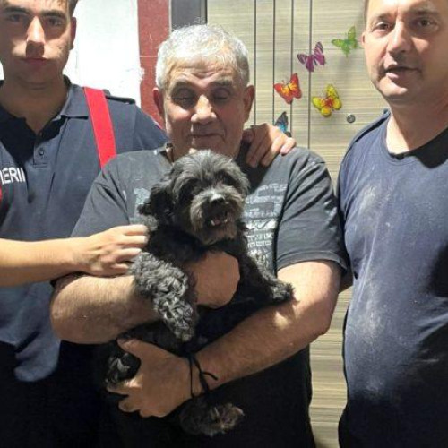 Cățel salvat după ce a căzut între țevi