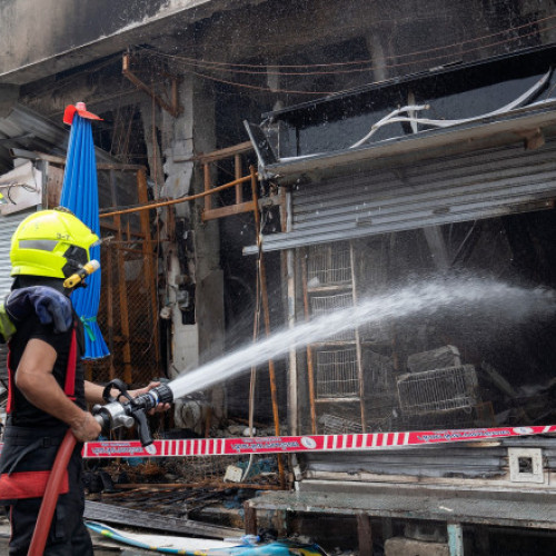 Aproximativ 1.000 de animale ucise într-un incendiu în piața Chatuchak din Bangkok