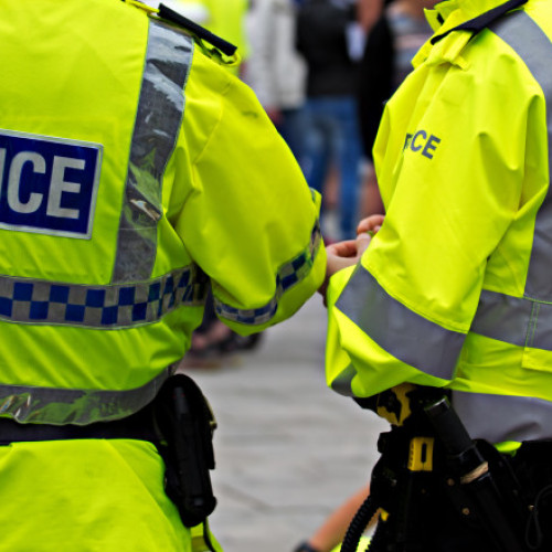 Doi băieți de 12 ani, găsiți vinovați de uciderea unui bărbat cu o macetă