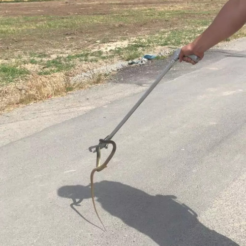 Jandarmii constanteni au capturat un sarpe in localitatea Valu lui Traian