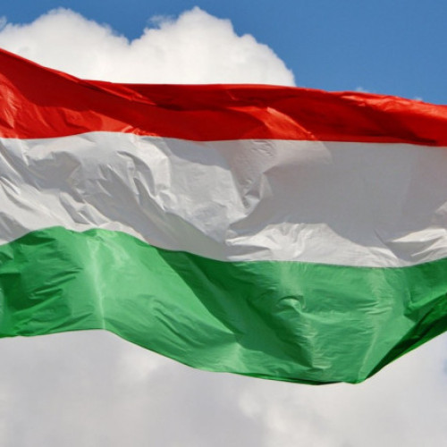 Parlamentul ungar interzice gratierea pentru delicte împotriva minorilor