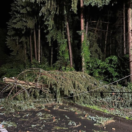 Pompierii din Sovata au intervenit pentru degajarea unui copac căzut