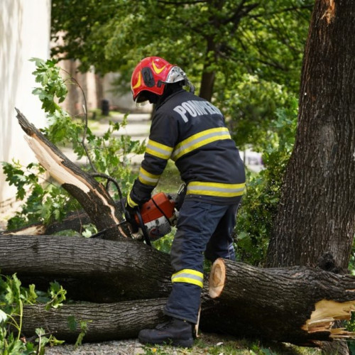 Viscolul și ploile torențiale au creat haos în mai multe județe