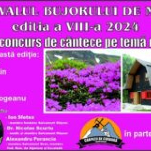 Festivalul Bujorului de Munte se Mută în Masivul Ciucaș