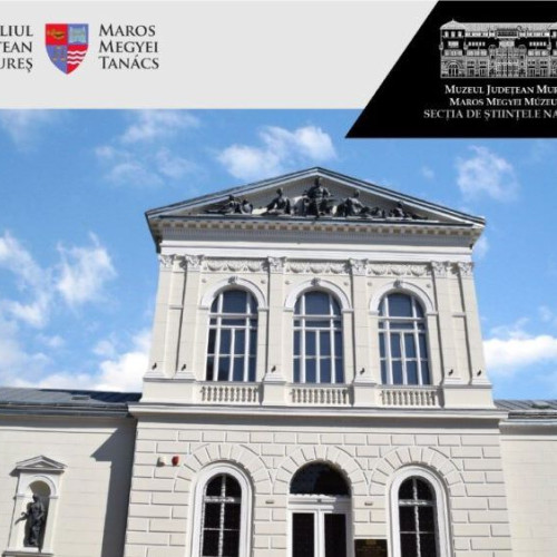 Sesiunea de comunicări științifice "Preocupări recente în cercetarea, conservarea și valorificarea patrimoniului cultural" a ajuns la a 18-a ediție