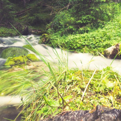 Amenzi Uriase pentru Soferii Care Traverseaza Albia Apelor