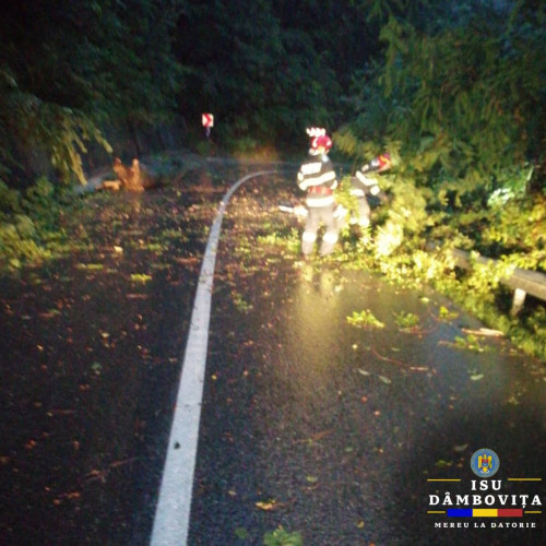 Intervenții ale pompierilor dâmbovițeni în urma codurilor roșu și portocaliu