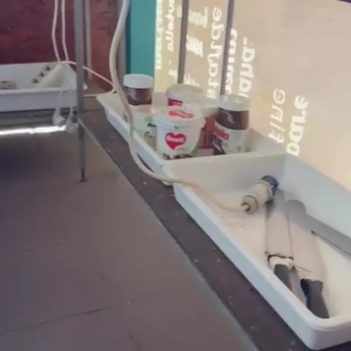 Oprirea temporară a prestării serviciilor propusă până la remedierea deficiențelor