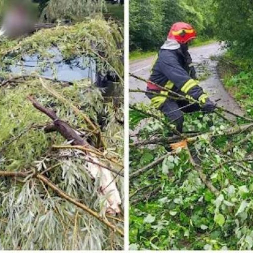 Pompierii Militari Intervin în Urgențe din Dâmbovița