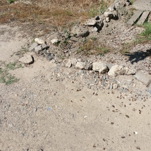 Marcel Baurceanu cere ajutor pentru inundații cauzate de vecin