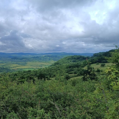 Cele mai multe fonduri de vânătoare sunt deținute de AJVPS Bistrița-Năsăud