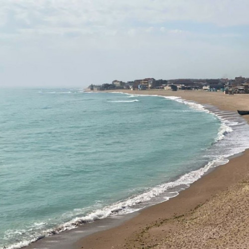 Reculegerea scoicilor și rapanelor din Marea Neagră, aprobată din nou