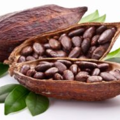 Preturile Cacao au Crescut de Trei Ori în Ultimul An