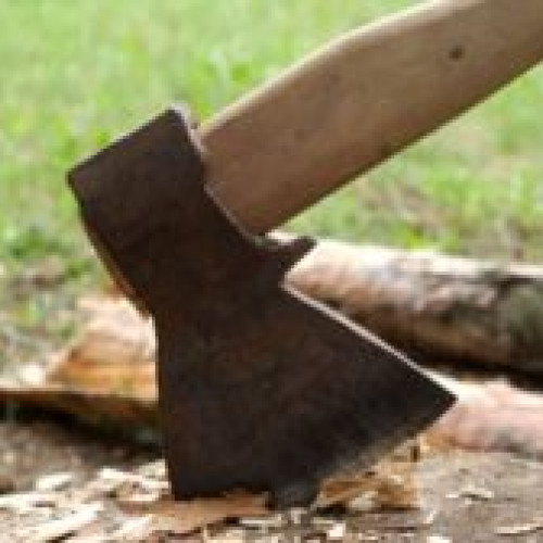 Taierea nucului necesita autorizatie