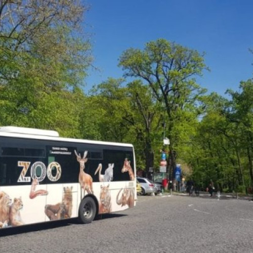 Curse noi de autobuz în Târgu Mureș