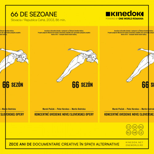 Proiecție de film documentar la Muzeul de Artă Vizuală din Galați