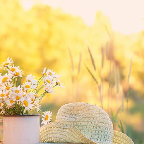 Dâmbovița: Săptămână Caniculară Anunțată de ANM