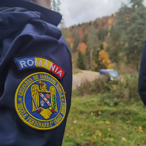 Jandarmii Harghiteni au Intervenit de 19 Ori în Ultima Săptămână pentru Alungarea Urșilor