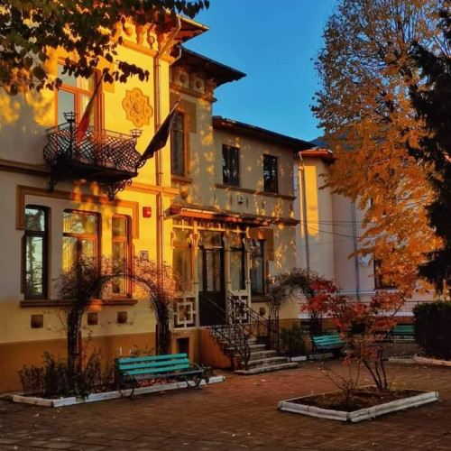 Liceul de Arte „Balasa Doamna” din Targoviste se Pregateste pentru Testarea Aptitudinilor