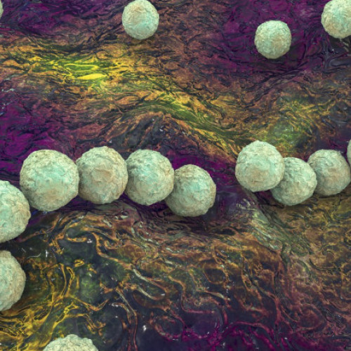 O bacterie &quot;mâncătoare de carne&quot; face ravagii în Japonia după ridicarea restricțiilor Covid-19