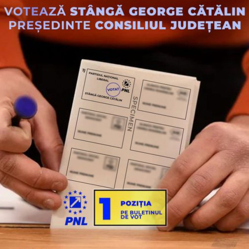 PNL Galati Inregistreaza Rezultate Slabe la Alegerile Locale