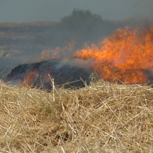 Incendiu puternic la o cultură de orz din comuna Tărtășești