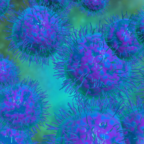 Sindromul șocului toxic streptococic nu reprezintă o amenințare în România, spune managerul Spitalului &quot;Victor Babeș&quot;