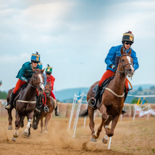 Concurs de Galop și Evenimente Spectaculoase pe Dealul Pivnițele Mari