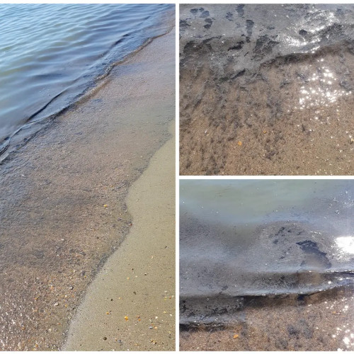 Poluare alarmantă la plaja Reyna din Constanța