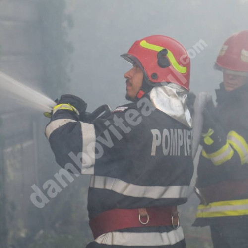 Incendiu devastator în localitatea Mavrodin din Dâmbovița
