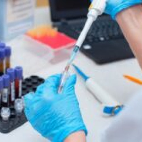 Experții britanici avertizează despre pericolele gripei aviare, varianta H5N1