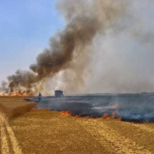 Incendiu într-un lan de grâu din localitatea Bălteni, comuna Dâmbovițeană Conțești